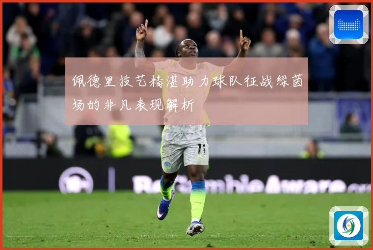 佩德里技艺精湛助力球队征战绿茵场的非凡表现解析