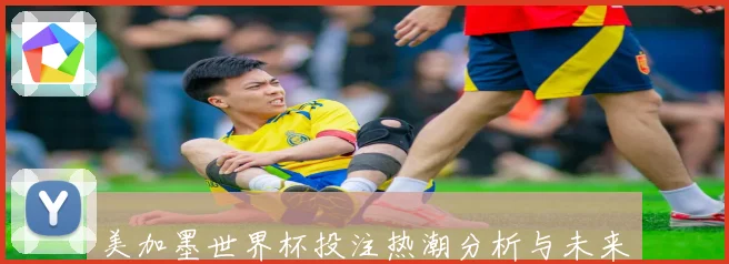 美加墨世界杯投注热潮分析与未来发展趋势探讨