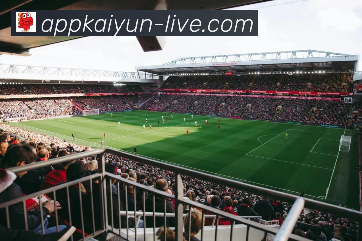 平台是否符合国家规定