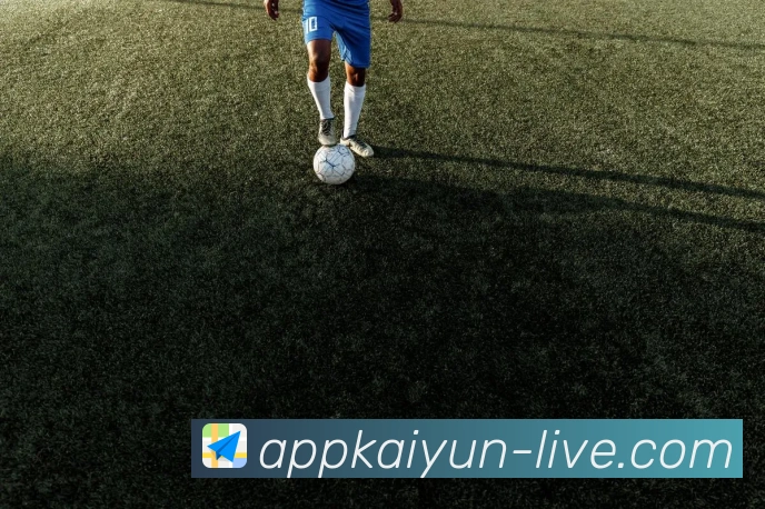 支持哪些设备平台使用？